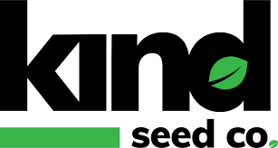 Exploring the World of Marijuana Seeds BC