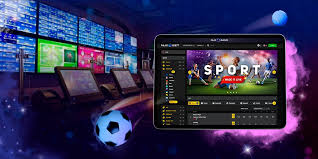 An In-Depth Look at 7d Bet Your Ultimate Betting Experience