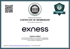 Unveiling Exness Educational Resources A Comprehensive Guide